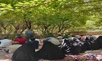  اردوی فرهنگی نیم‌روزی از سوی دانشکده علوم قرآنی شیراز برگزار شد.